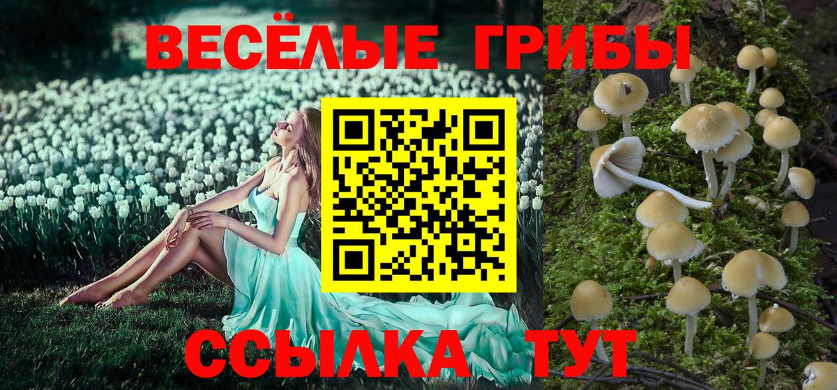 Псилоцибиновые грибы Magic Shrooms Усолье-Сибирское